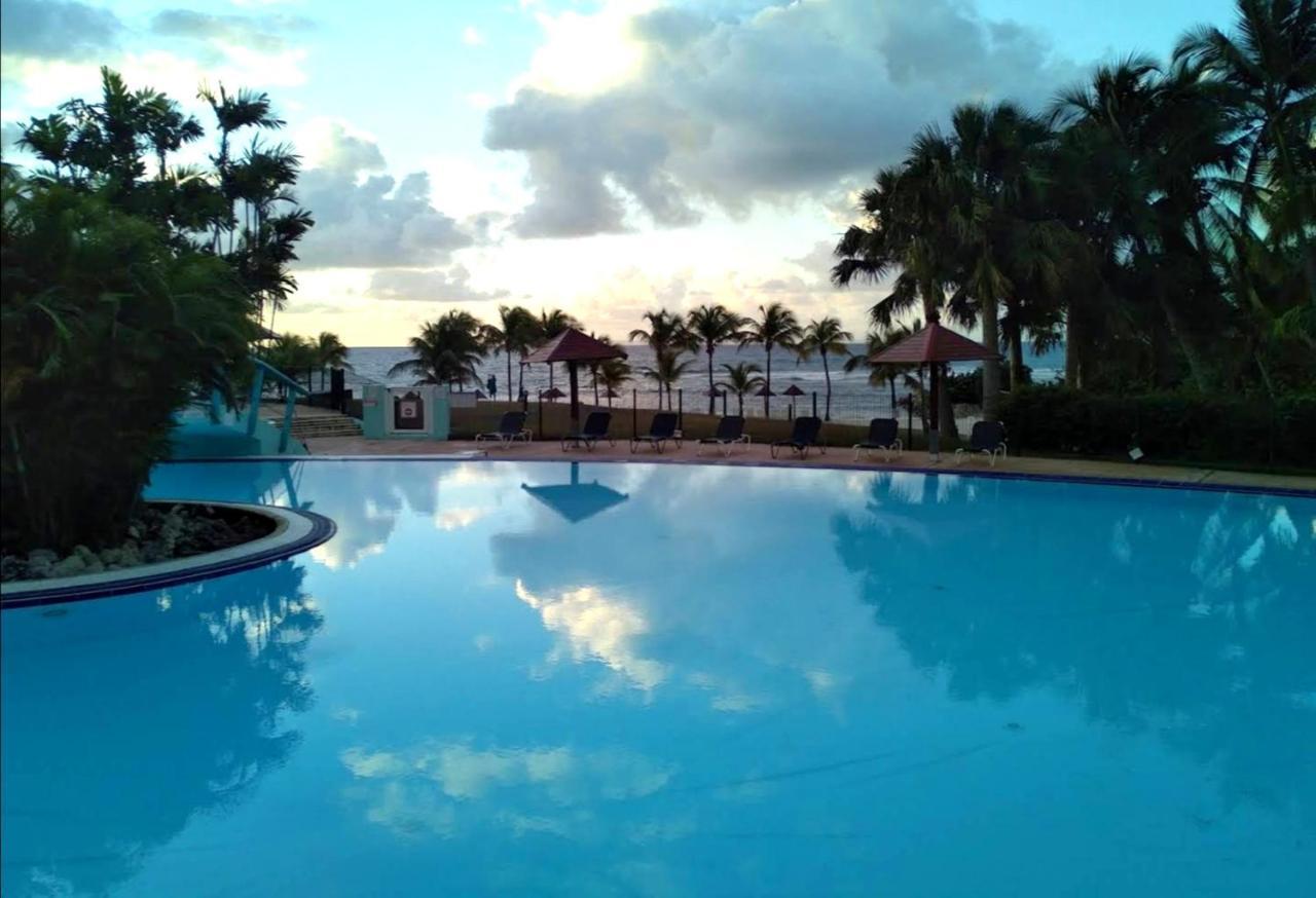 La Perle Des Caraibes Apartman Sainte-Anne  Kültér fotó