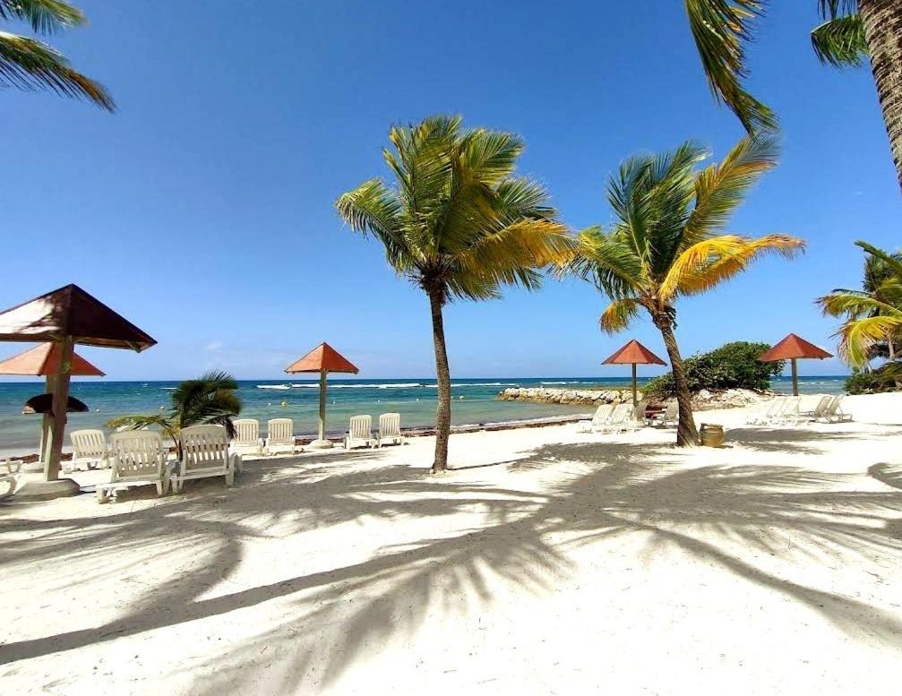 La Perle Des Caraibes Apartman Sainte-Anne  Kültér fotó
