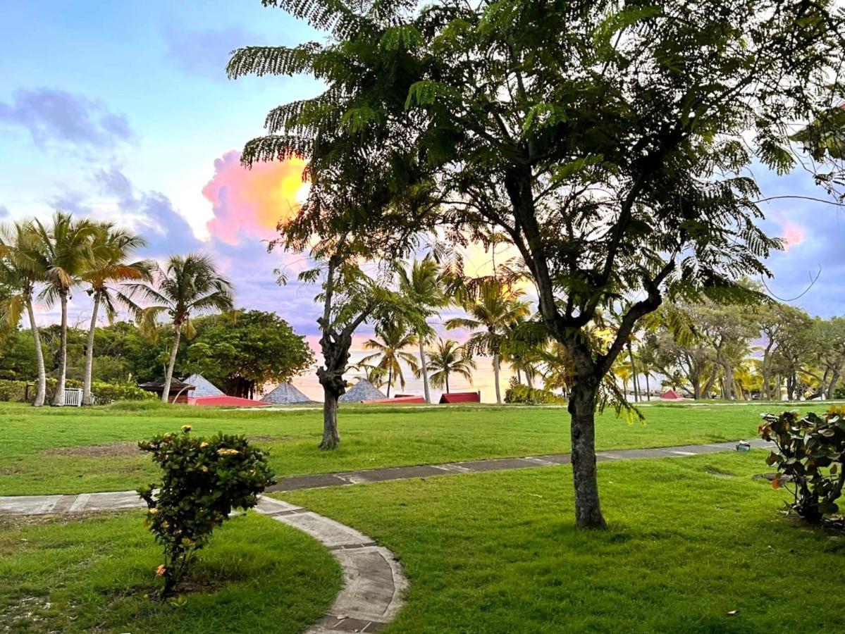 La Perle Des Caraibes Apartman Sainte-Anne  Kültér fotó