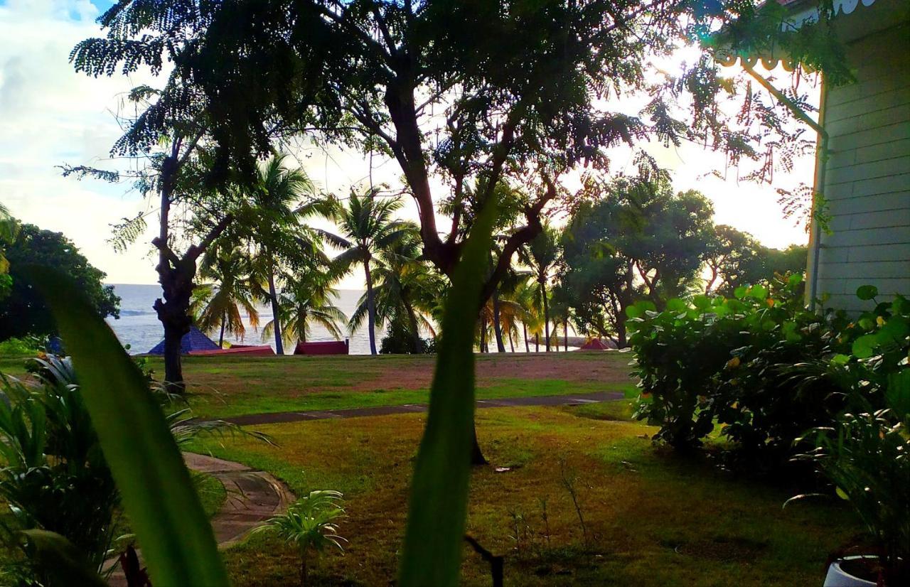 La Perle Des Caraibes Apartman Sainte-Anne  Kültér fotó